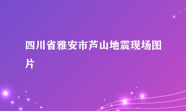 四川省雅安市芦山地震现场图片