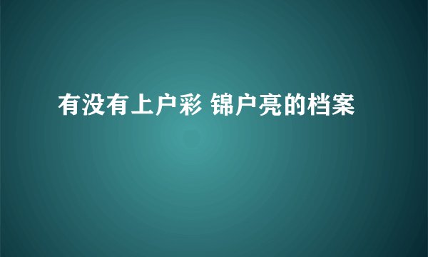 有没有上户彩 锦户亮的档案