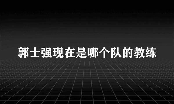郭士强现在是哪个队的教练