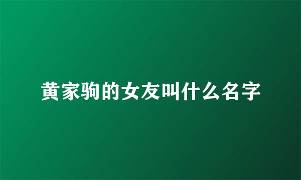 黄家驹的女友叫什么名字