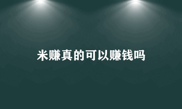 米赚真的可以赚钱吗
