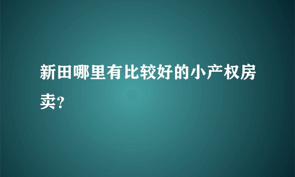 新田哪里有比较好的小产权房卖？